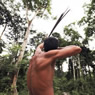 Awa Tribe
